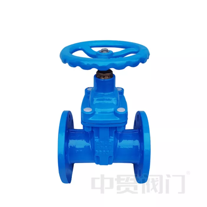 gate valve